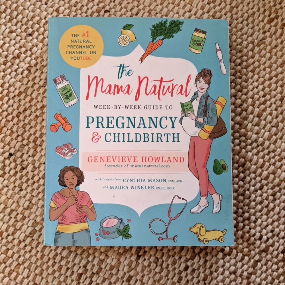 Pregnancy and Motherhood Books